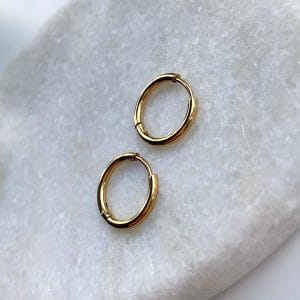 Oorbellen basic groot goud