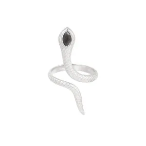 Zilveren ring slang vorm