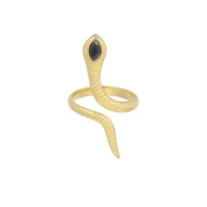 Gouden ring slang vorm